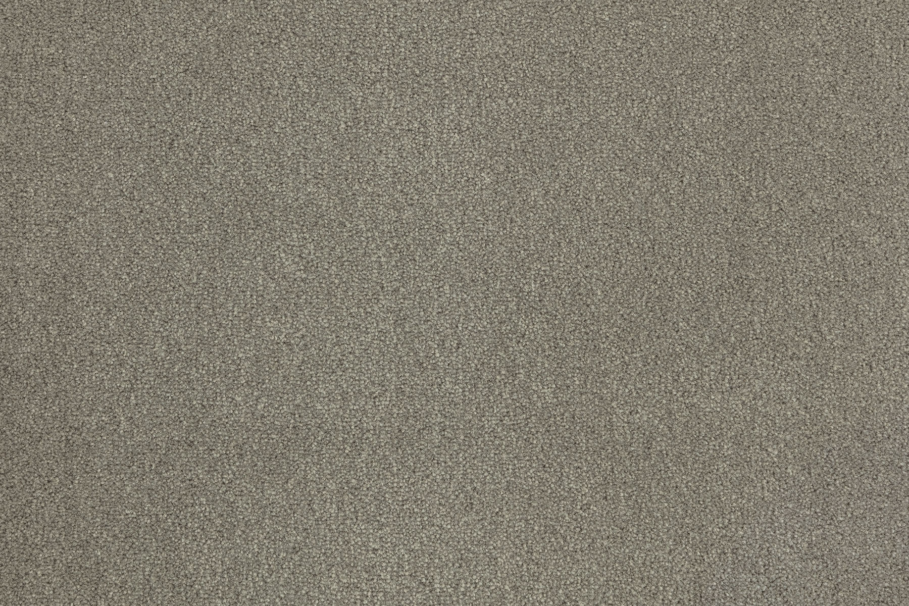 Royal Plush 50