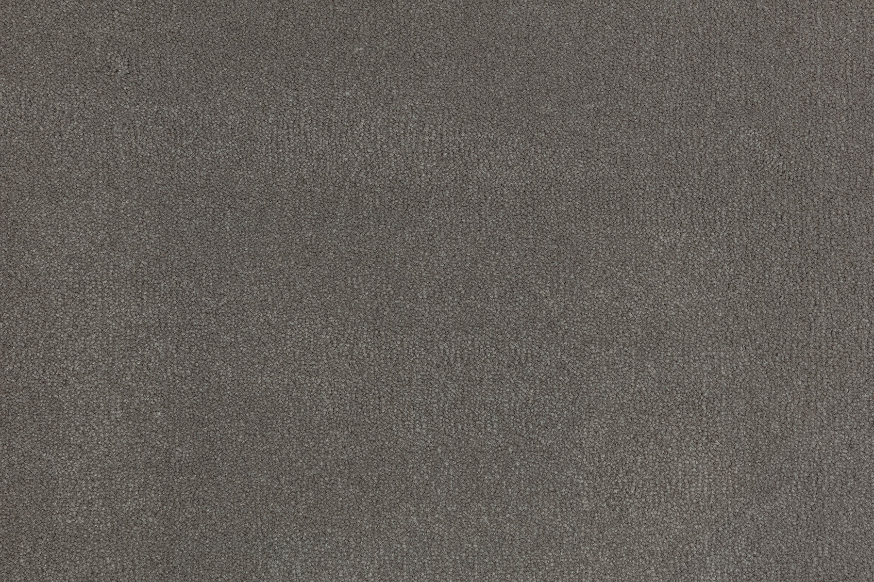 Royal Plush 50