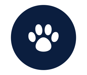 Pets